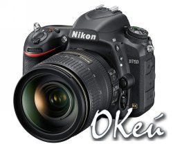 Nikon D750:     24- 