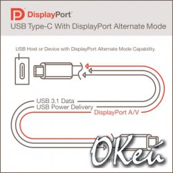 VESA  DisplayPort over USB Type-C