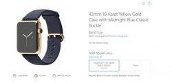  Apple Care+  Apple Watch Edition   $999