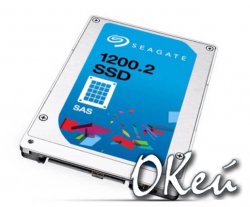 Seagate  Newisys        SSD,     1 /