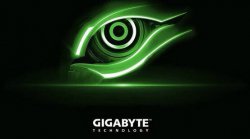  Gigabyte      7%