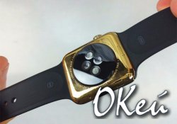 Apple Watch        $100